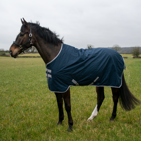 GS Equestrian 600D wasserdichte Weidedecke, 0 g