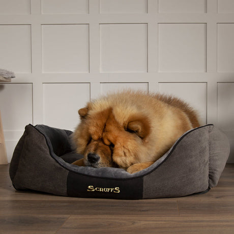 Scruffs Chester Box Bed #colour_graphite