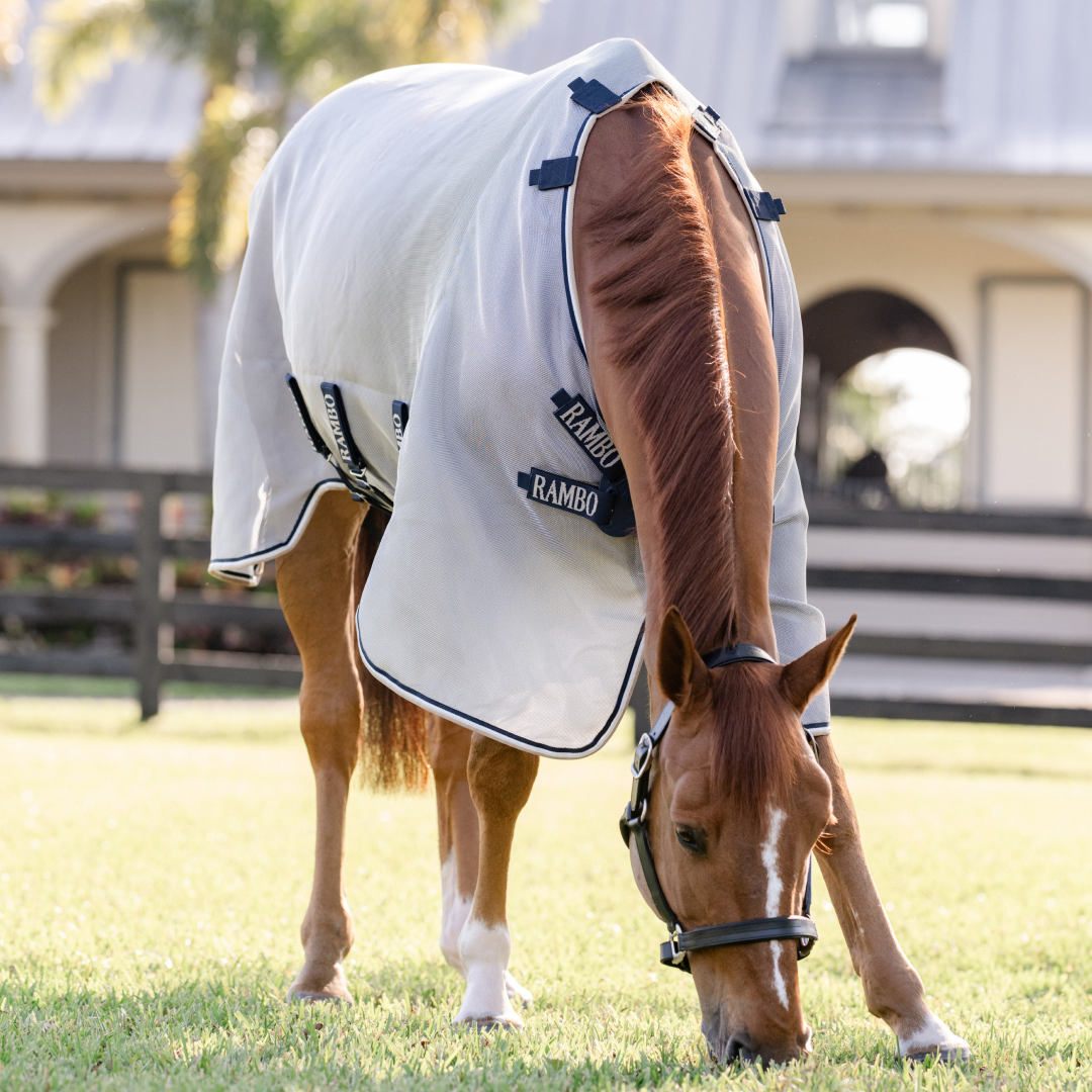 Horseware Ireland Rambo Protector Fieldsafe