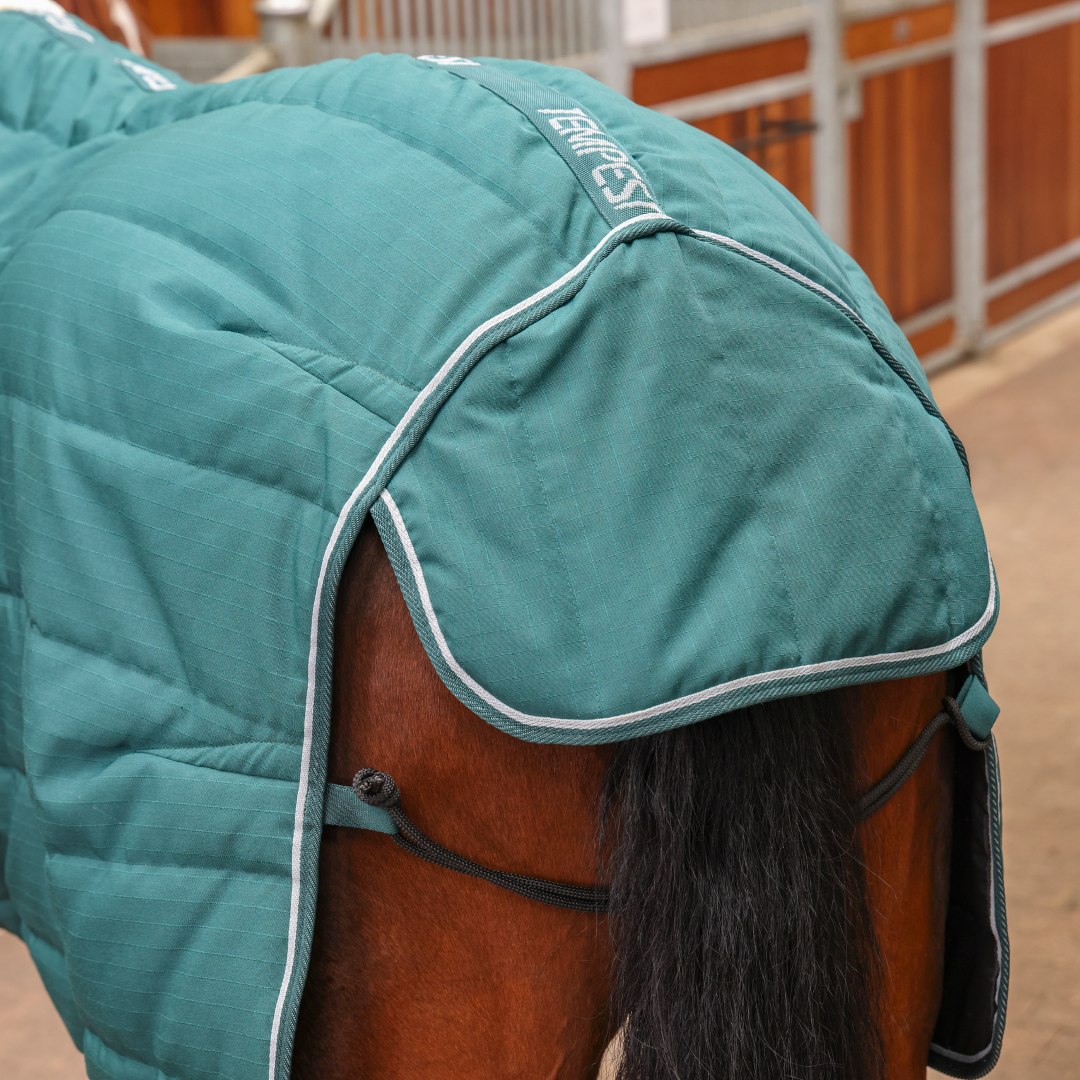 Shires Tempest Original 200 Stable Combo #colour_emerald