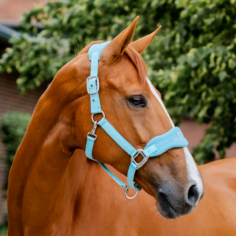 Horseware Ireland Signature Grooming Headcollar #colour_blue-haze
