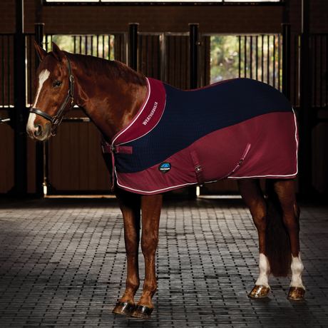 Weatherbeeta Thermo-Air Cooler Standard Neck #colour_navy-burgundy