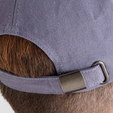 Ridgeline Signature Cap #colour_storm
