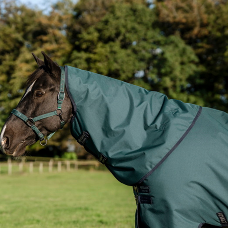Horseware Ireland Amigo Ripstop 900D Turnout Hood 150g #colour_dynasty-green-navy-silver