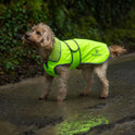EQUIDRY Hi Vis Dog Coat