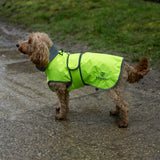 EQUIDRY Hi Vis Dog Coat
