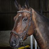 Whitaker Chicago Anatomic Bridle With Reins #colour_havana
