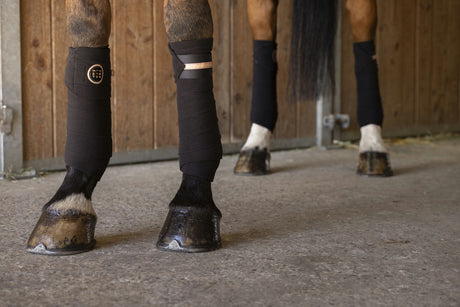 Equitheme Skolstart Polo Bandages #colour_black