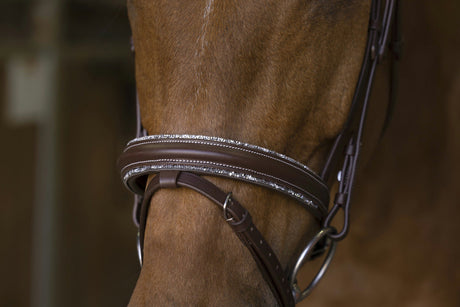 Norton Pro Rock Bridle #colour_havana