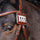 HV Polo Legacy Competition Number #colour_brown