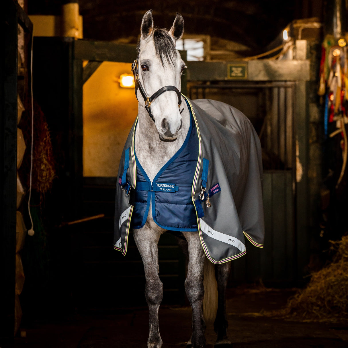 Horseware Ireland Amigo Bravo 12 Plus Bundle V-Front 50g Turnout Rug #colour_dark-shadow-navy-rose