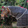 Horseware Ireland Rhino 100g Stable Hood #colour_black-grey-white-check-grey