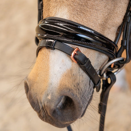 Imperial Riding Petit Bridle #colour_black-rose