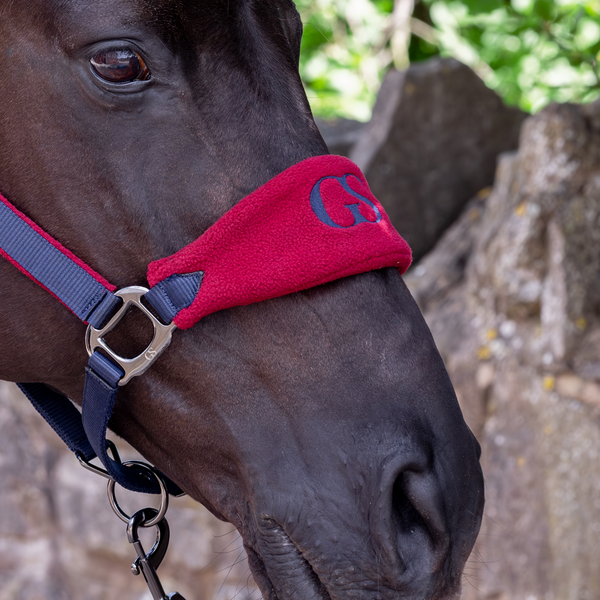 GS Equestrian & Country Headcollar & Lead Rope Set