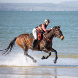 Cavallo Entryレベルのブートレギュラー