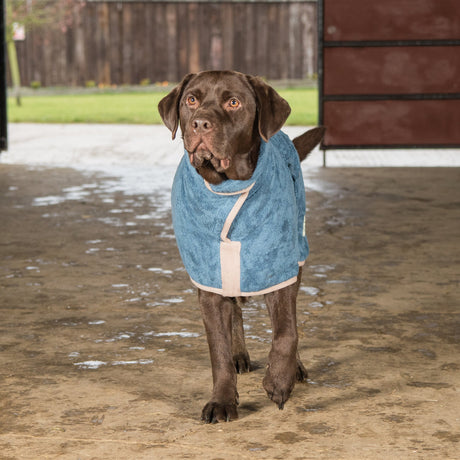 Ruff & Tumble Classic Dog Drying Coat #colour_sandringham-blue