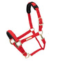 Licol Shires Topaz en nylon