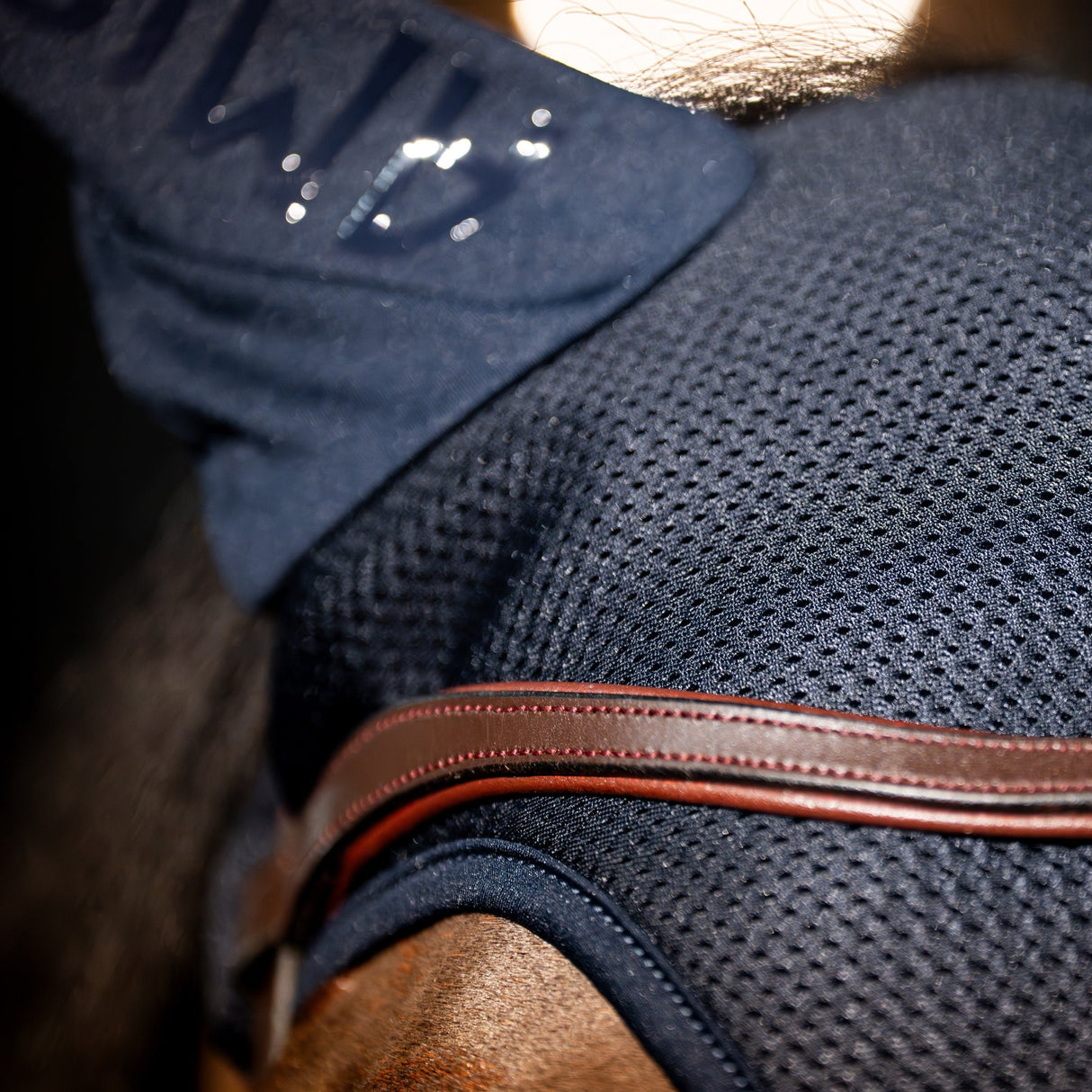 Horseware Ireland Amigo Ear Net #colour_navy