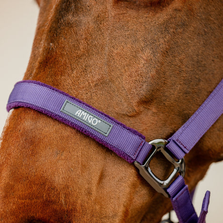 Horseware Ireland Amigo Headcollar & Leadrope Set #colour_winterberry