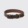 Dubarry Axel Leather Dog Collar