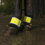 Norton Yellow Bandages For Hind Legs