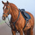 Horseware Ireland Micklem Breastplate with Martingale #colour_brown