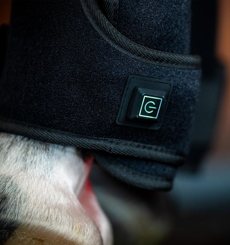 Horseware Ireland LED Red Light Therapy Leg Wraps Pair