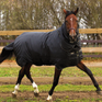 Couverture d'extérieur Horseware Trot Plus 350 g