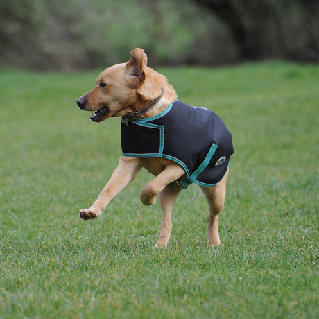 Weatherbeeta Green-Tec 900D Dog Coat Lite Plus #colour_black-bottle-green