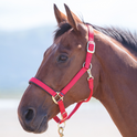 Shires Topaz Nylon Headcollar #colour_red