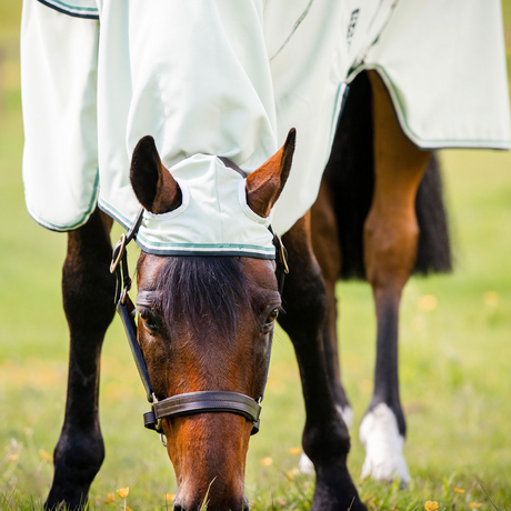 Horseware Ireland Rambo Hoody #colour_green-sage-beige