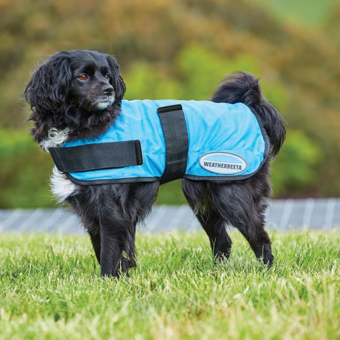 Weatherbeeta Therapy-Tec ドッグコート ブラック/シルバー 24インチ Therapy-Tec Cooling Dog Coat - | WeatherBeeta