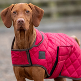 Shires Digby & Fox Heritage Dog Coat #colour_red