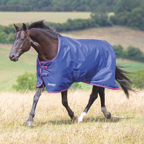 Shires Tempest Original 100g Turnout Rug #colour_navy-pink