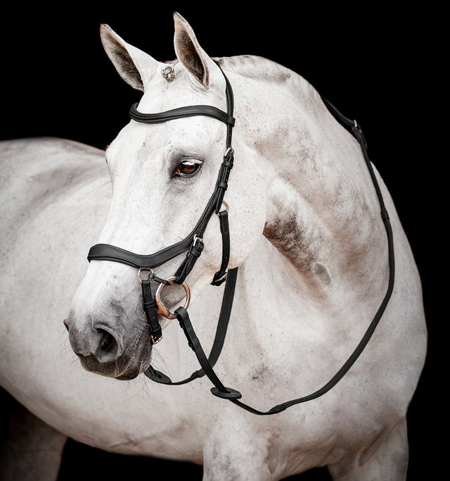 Horseware Ireland Micklem 2 Competition Bridle With Reins #colour_black