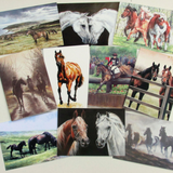 Caroline Cook Equestrian Cards