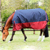 JHL Essential Medium Weight 200g標準首の投票率ラグ