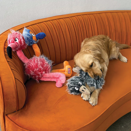 KONG Comfort Jumbo Birds #style_assorted