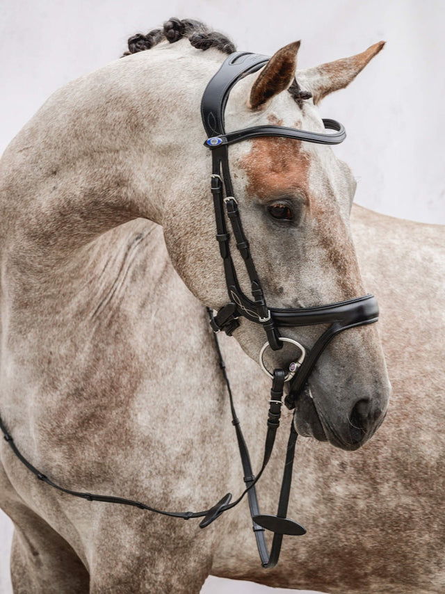 PS of Sweden Jump Off Bridle #colour_black