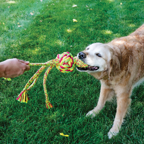 KONG Wubba Weaves with Rope #size_s