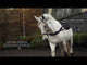 Horseware Ireland Rambo Micklem Multibridle