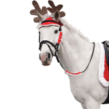 Bois de renne de Noël Hy
