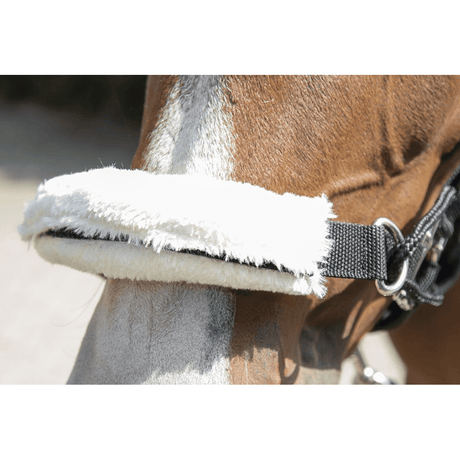 HKM Safe Control Style Head Collar #colour_black