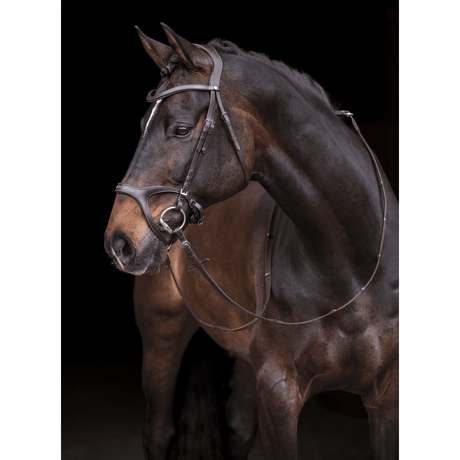 HKM Anatomic Sports Bridle #colour_brown